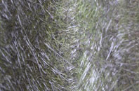 Briscoerigg fibreglass roof work